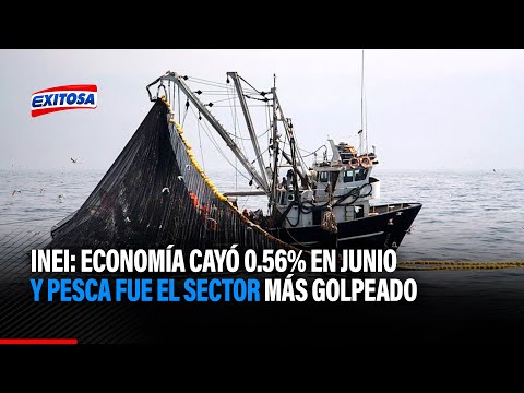 INEI: Economía cayó 0.56% en junio y pesca fue el sector más golpeado
