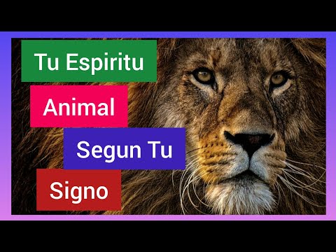 Tu Espíritu Animal, Según tu Signo del Zodiaco 2021