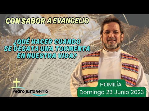 ¿Qué hacer cuando se desata una tormenta en nuestra vida? | Padre Pedro Justo Berrío