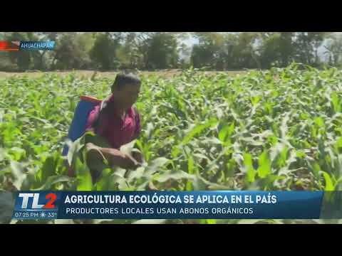 Reducción de pesticidas y productos agrotóxicos en las siembras