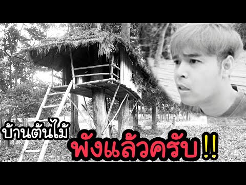 บ้านต้นไม้พังแล้วครับเพื่อนๆ