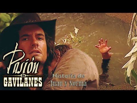 Pasion de Gavilanes [PDG]: Juan y Norma (547) - La muerte de Fernando