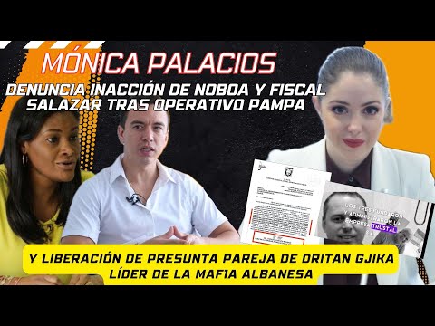 M4fi4 alb4nesa sigue activa ante inacción de presidente Noboa y fiscal Salazar, según Palacios