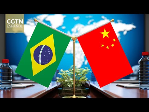 Canciller chino y asesor presidencial brasileño elogian cooperación estratégica bilateral