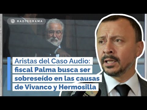 Aristas del Caso Audio: fiscal Palma busca ser sobreseído en las causas de Vivanco y Hermosilla