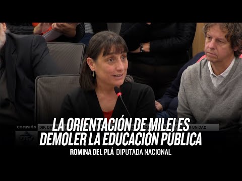 La orientación de Milei es demoler la Educación Pública / Romina del Plá en Comisión Educación