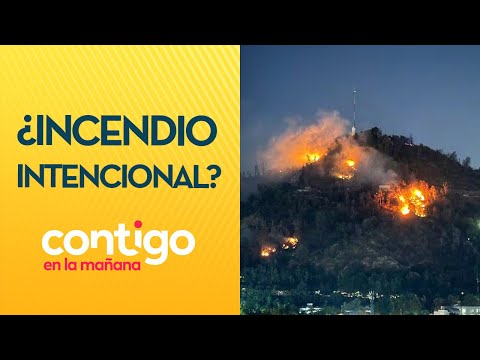 ¿FUE INTENCIONAL? El grave incendio en el Cerro San Cristóbal - Contigo en la Mañana
