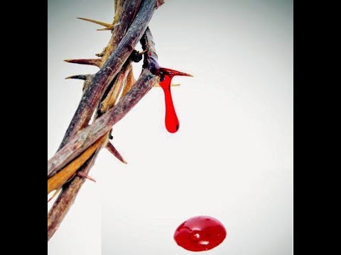 Lunes 1 de Julio 2024 - Preciosísima Sangre de Nuesro Señor Jesucristo