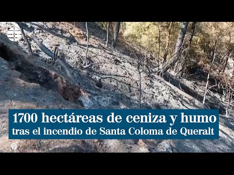 1700 hectáreas de ceniza y humo tras el incendio de Santa Coloma de Queralt