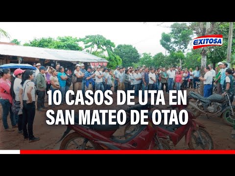 Huarochirí: 10 casos de uta se registra en el distrito de San Mateo de Otao