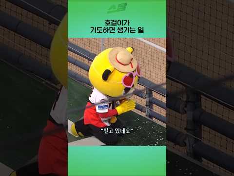 호걸이가 기도하면 생기는 일