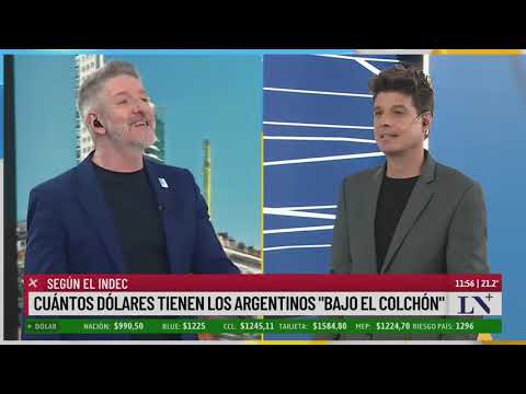 Cuántos dólares tienen los argentinos bajo el colchon: según el INDEC