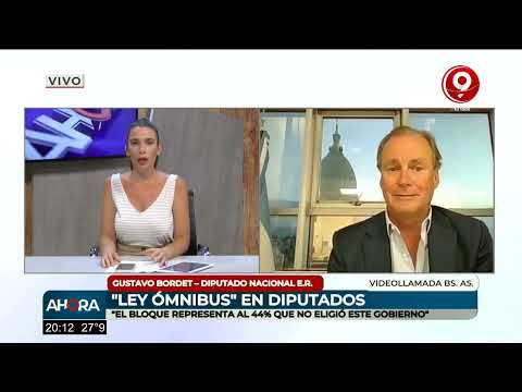 Ley Ómnibus: habla el diputado nacional Gustavo Bordet