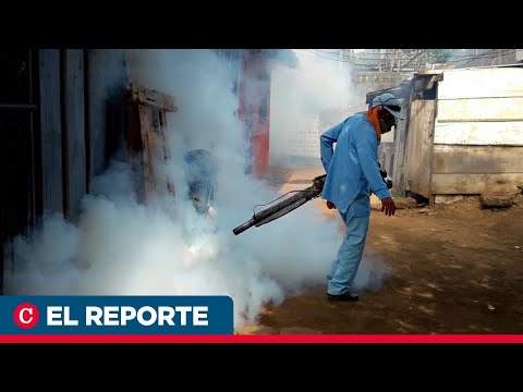 Minsa guarda silencio ante 140 000 contagios y dos muertes por dengue