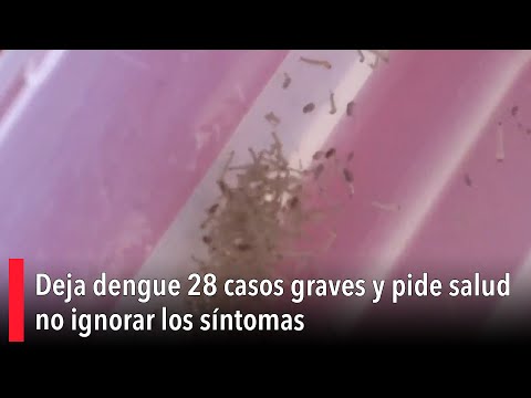 Deja dengue 28 casos graves y pide salud no ignorar los si?ntomas