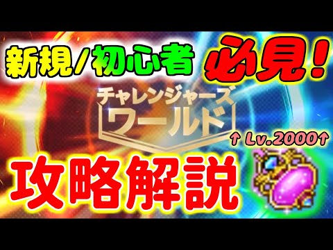 [メイプルストーリー]初心者向けのスタートアップイベント！チャレンジャーズワールドの新規向け育成完全解説！(前編)[新規/初心者育成]