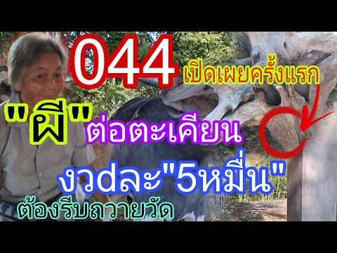 ผีตอตะเคียน044เปิดเผยครั้งแร