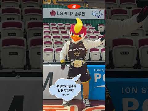 챔비 골반이 안 멈춰요ㅜ.ㅜ