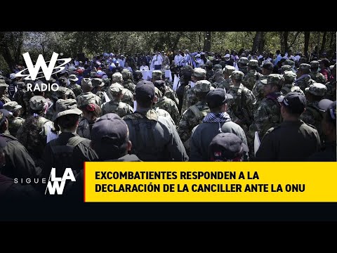 “Esa estigmatización nos pone una lápida en el pecho”: la respuesta de excombatientes a canciller