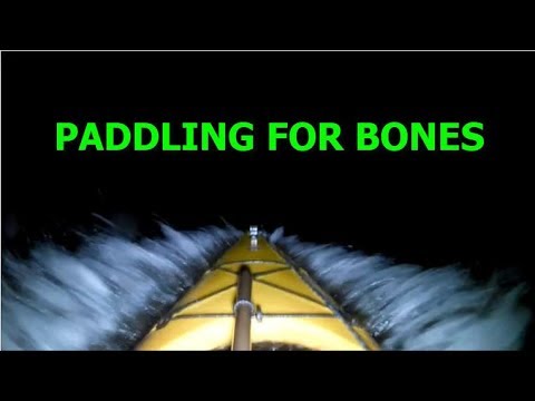 paddling for bones