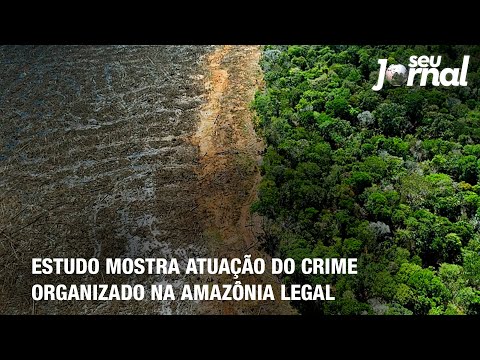 Estudo mostra atuação do crime organizado na Amazônia Legal