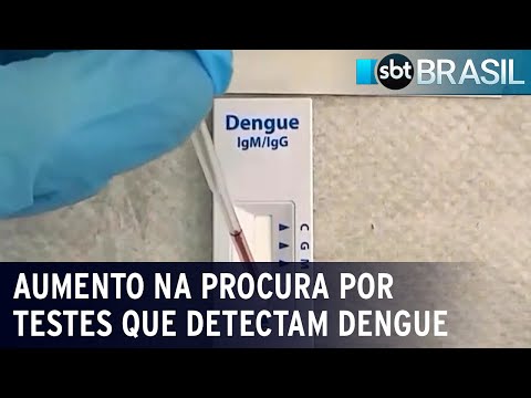 Disparada da dengue faz crescer procura por testes que detectam a doença | SBT Brasil (02/02/24)