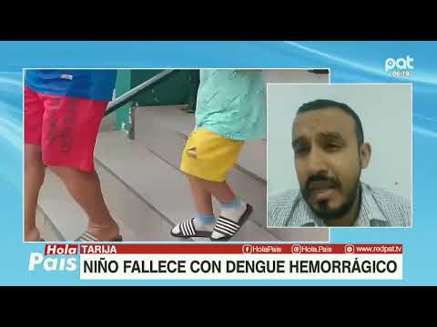 Niño fallece con dengue hemorrágico en Tarija