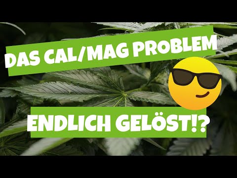 What really helps against the HOMEGROW LED disease!?! | CALMAG deficiency not a fertilizer proble...