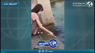 صياده ضاعت علومها