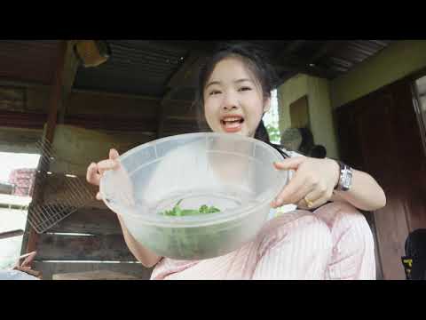 ก้อยไข่มดแดง-ลินดาสาวบ้านโพนงา ก้อยไข่มดแดง-ลินดาสาวบ้านโพนงา