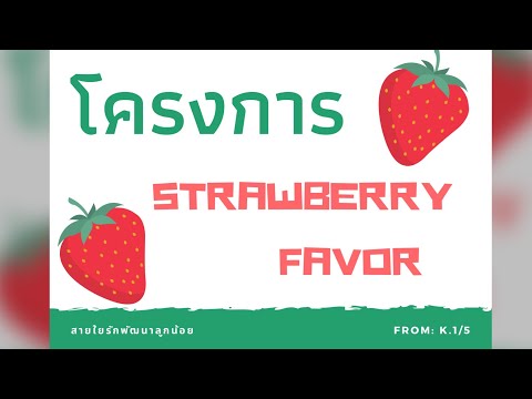 โครงการStrawberryfavorK.15