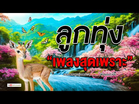 ลูกทุ่งเพลงสุดเพราะ-ฟังเพลิ