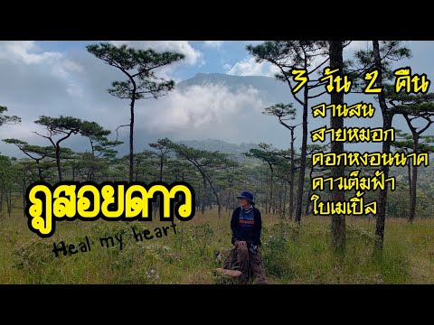 ภูสอยดาวรีวิวทางขึ้นเนินมันส์