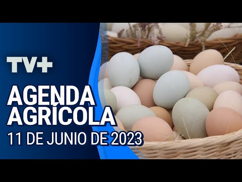 Agenda Agrícola | 11 de Junio de 2023