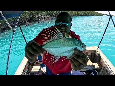 YouTube video thumbnail