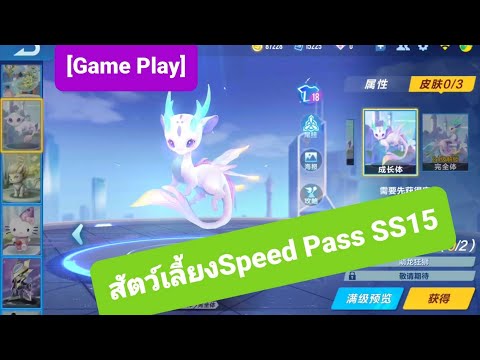 Speed-Drifters-พามาดูสัตว์เลี้ Speed-Drifters-พามาดูสัตว์เลี้