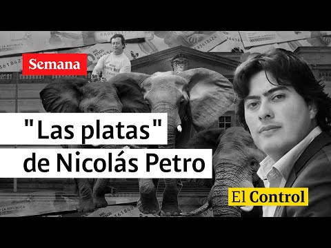 Resultó viviendo sabroso: El Control a las platas de Nicolás Petro