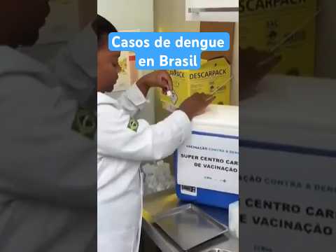 Casos de dengue en Brasil: confirman 214 muertes en lo que va del 2024