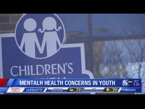 Mental Health concerns in TN youth