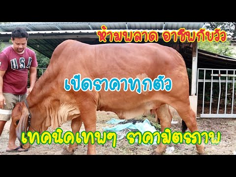 0877798463-ช้าอดเปิดsาคาหน้าคอ 0877798463-ช้าอดเปิดsาคาหน้าคอ