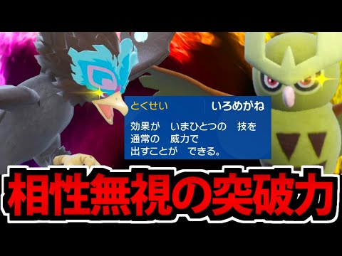 【ポケモンSV】半減不可の突破力!!「いろめがね」のウォーグル&ヨルノズク!!【飛行統一#8】