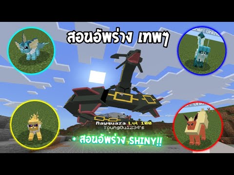 ✔สอนอัพร่างเทพๆในแอดออนโปเกม