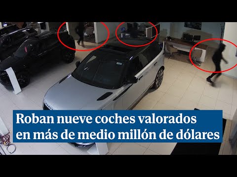 Un grupo de adolescentes roba nueve coches valorados en más de medio millón de dólares
