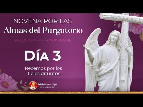 Novena por las Almas del Purgatorio  Día 3  Padre Ricardo del Campo #novena #oracion