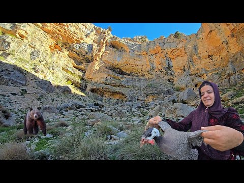 Horned bird discovered on dangerous bear trail 🦅: 🏔️ In search of mountain plant 🌿