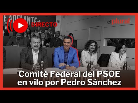 DIRECTO | Manifestación en Ferraz y Comité Federal del PSOE