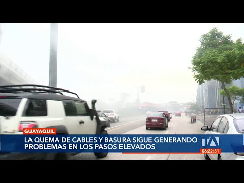 Habitantes de calle utilizan los pasos elevados en Guayaquil como guarida