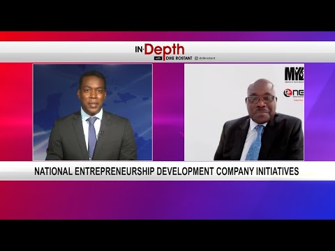 In Depth With Dike Rostant - National Entrepreneurship Development Company Initiatives