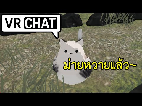 สอนเพื่อนไต้หวันพูดไทยเมื่อ2