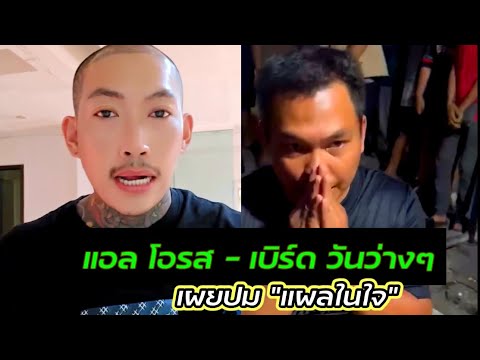 แอลโอรส-เบิร์ดวันว่างๆนัก